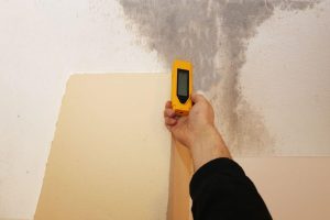common case of mold testing featured image